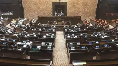  Government
