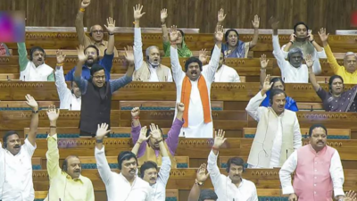 Lok Sabha passes bill to ban online money games without debate