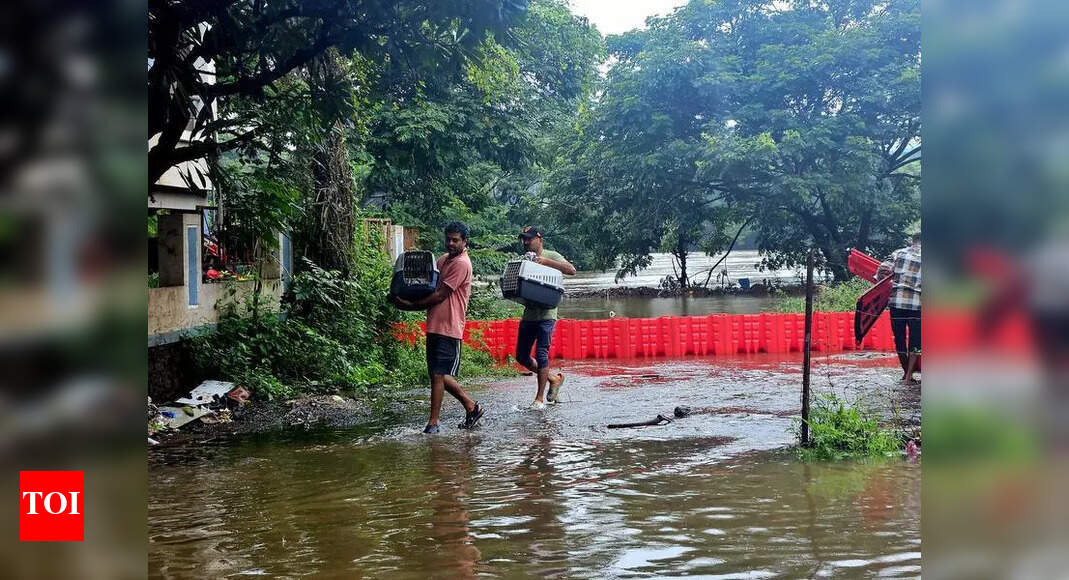 Maharashtra rains: Death toll rises to 30, 20.1 lakh acres of crops ...