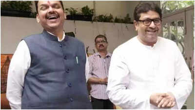 'Talked about traffic': MNS' Raj Thackeray on meeting CM Devendra Fadnavis; squashes tie-up rumours