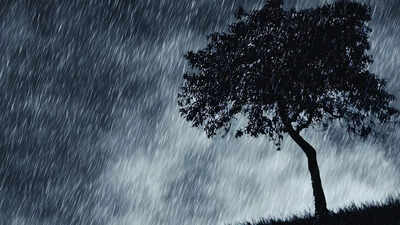 IMD issues heavy to very heavy rainfall warning across multiple states; all you need to know