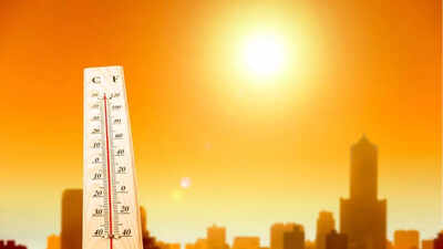 अमेरिका में अत्यधिक हीटवेव चेतावनी: तापमान ट्रिपल अंकों तक पहुंच सकता है; कौन से राज्य जोखिम, सलाहकार और सुरक्षा युक्तियाँ हैं | विश्व समाचार