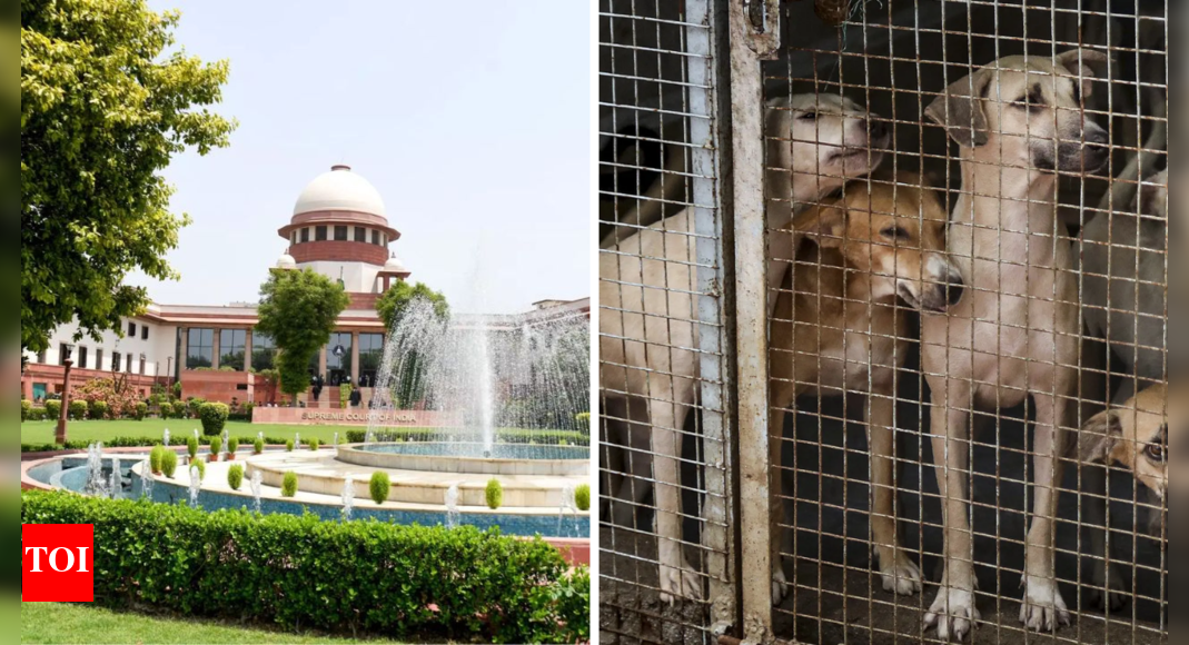 Supreme Court Stray Dogs Hearing Live Updates: Rahul Gandhi welcomes SC order on stray dogs, calls it ‘progressive step’  timesofindia.indiatimes.com