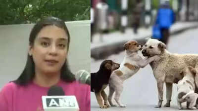 Supreme Court Allows Stray Dogs Back On Streets, But Bans Feeding Them In Public Spaces