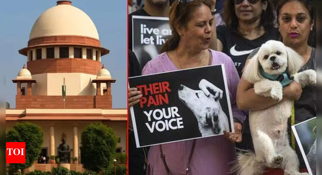 Dedicated feeding zones, vaccination & more: Supreme Court’s major order on stray dogs — Key takeaways