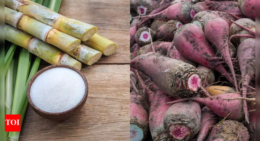 Cane Sugar vs. Beet Sugar: Decoding the Differences for a Healthier Choice (India Edition)