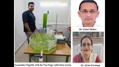 IIT (BHU), Integral University team develops cost-effective method to grow microalgae for higher biofuel yield, boosting clean energy efforts