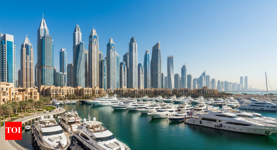 UAE committee unveils strategy to attract world’s brightest minds and join top 10 talent destinations by 2031