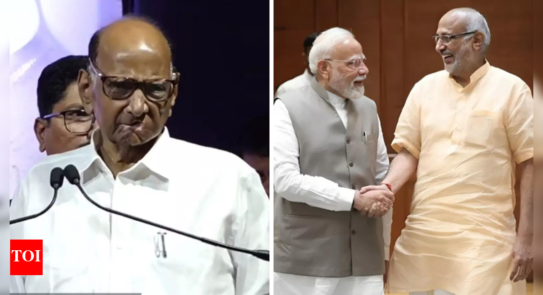 <div>'Can't support those who don't believe in democracy': Sharad Pawar refuses to back CP Radhakrishnan as VP; cites Jharkhand anecdote</div>