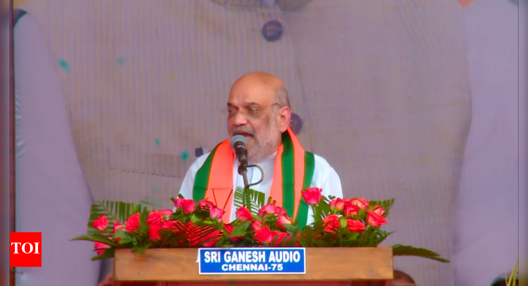 <div>'I apologise for not speaking Tamil': Amit Shah addresses BJP booth workers in Tirunelveli - Top quotes</div>