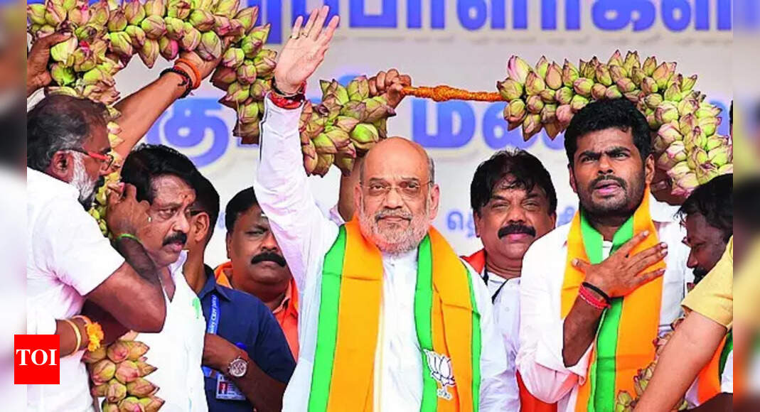 Oppositon VP pick has 'ideological support' for Naxalism: Shah