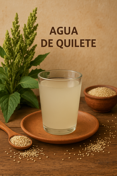 Agua de quilete: un pequeño gran aliado para tu salud diaria