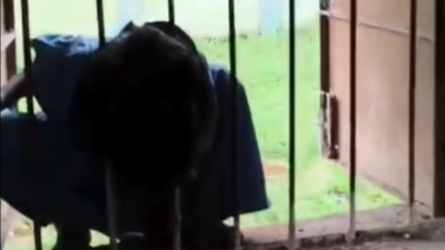 Odisha school shocker: Class 2 girl falls asleep, spends night in locked classroom; found with head stuck in window grill in escape bid; headmaster suspended