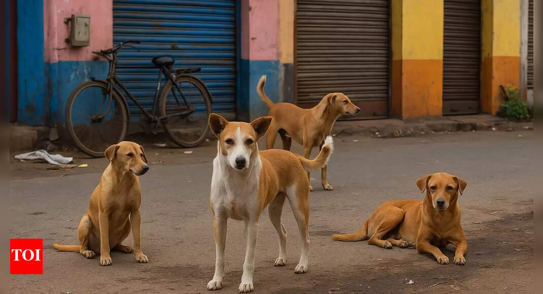<div>MCD & few ABC centres relocating sterilised dogs, allege animal lovers</div>