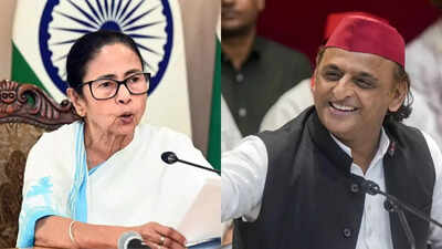 Didi, SP won't join JPC on bill on dismissal of PM & CMs