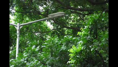 HDMC’s energy-efficient streetlight project approved