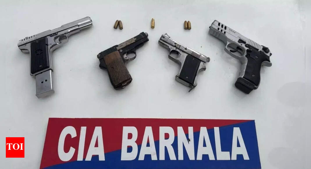 Barnala police arrest four members of a gang, 4 weapons recovered | India News – Times of India Barnala police arrest four members of a gang, 4 weapons recovered | India News – Times of India
