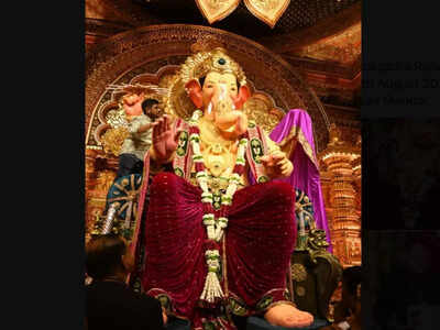 ஊதா தோடி, கோல்டன் சிம்மாசனம்: கணேஷ் சதுர்த்தியை விட லல்பாகா ராஜா 2025 இன் பிரமாண்டமான வெளிப்பாடு உங்களை திகைக்க வைக்கும்!