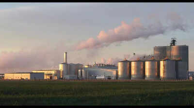 Genetic body okays import of GM yeast for ethanol production