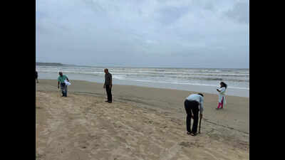 Beach shacks likely to come up from Sep 1 in Goa