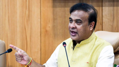 Himanta accuses activist, Congress, foreign elements of bid to destabilise Assam