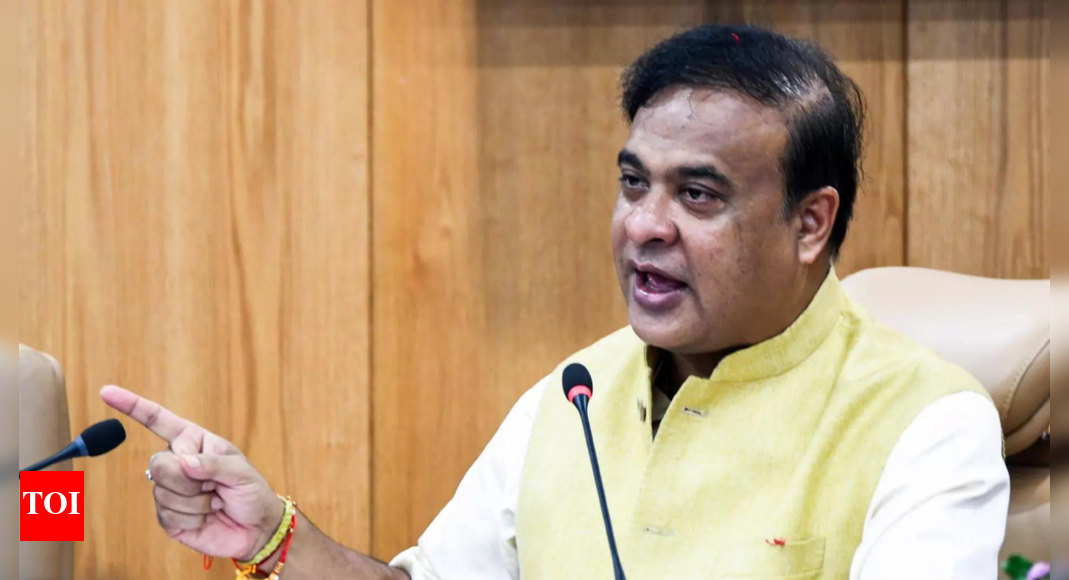Himanta accuses activist, Congress, foreign elements of bid to destabilise Assam