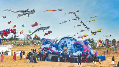Kites, colours & carnival vibes!