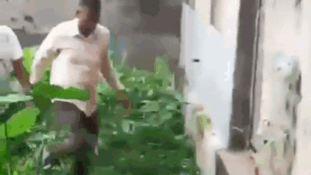 Jumped wall, threw phone in drain: How TMC MLA tried to evade ED, only to be later arrested - Video Jumped wall, threw phone in drain: How TMC MLA tried to evade ED, only to be later arrested - Video