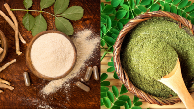Why ashwagandha and moringa are India’s timeless answer to stress and lifestyle disorders