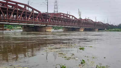  Man jumps off Yamuna bridge during video call; sister says he was depressed after breakup; search underway