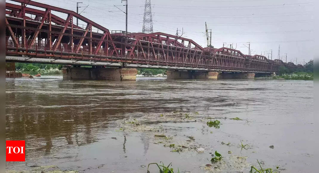Delhi: Man jumps off Yamuna bridge during video call; sister says he was depressed after breakup; search underway