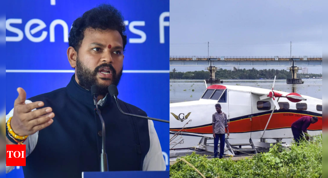 Centre to restart seaplane services by October: Two routes planned initially with simplified guidelines, says aviation minister Naidu