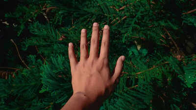 Why humans can't digest grass: Understanding the biological limitations