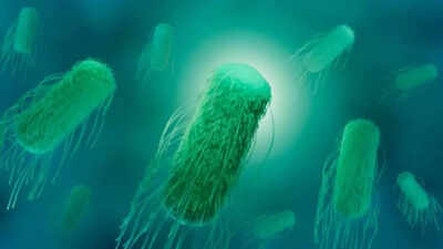 Over 100 tourists stricken by suspected Salmonella food poisoning after lunch at Spanish resort