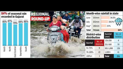 Aug brings 21% seasonal rain to Gujarat; 15% in last week alone