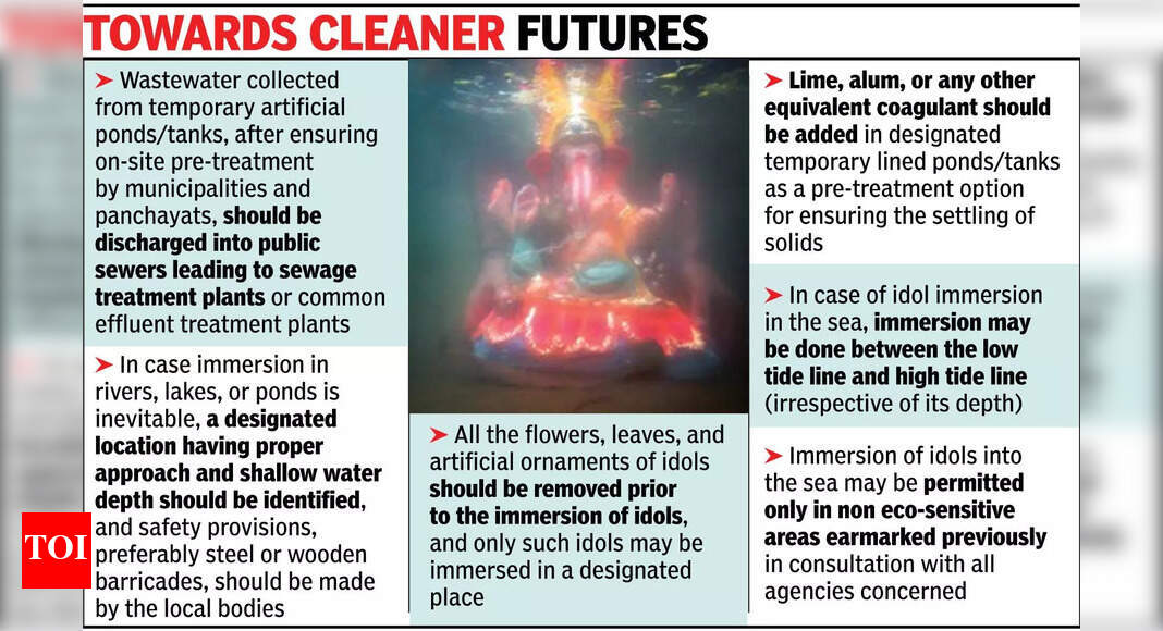 To curb pollution, govt issues guidelines for idol immersion