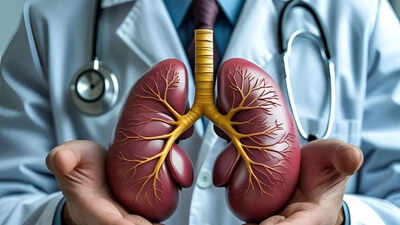 Israeli hospital developed lab-grown kidneys that survived for 34 weeks