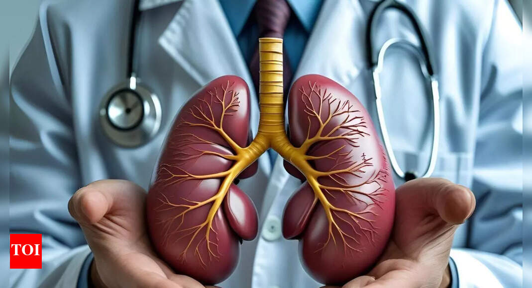 Israeli hospital developed lab-grown kidneys that survived for 34 weeks |
