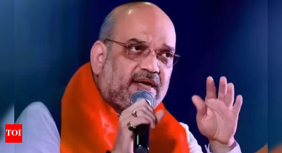 Shah: Oppn against bill so that they can run govts from jail