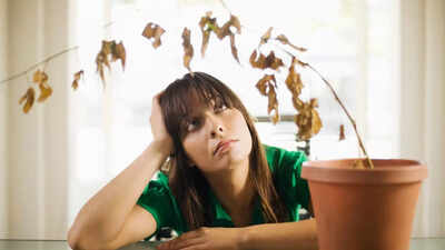 9 reasons your plants aren’t growing and how to fix them