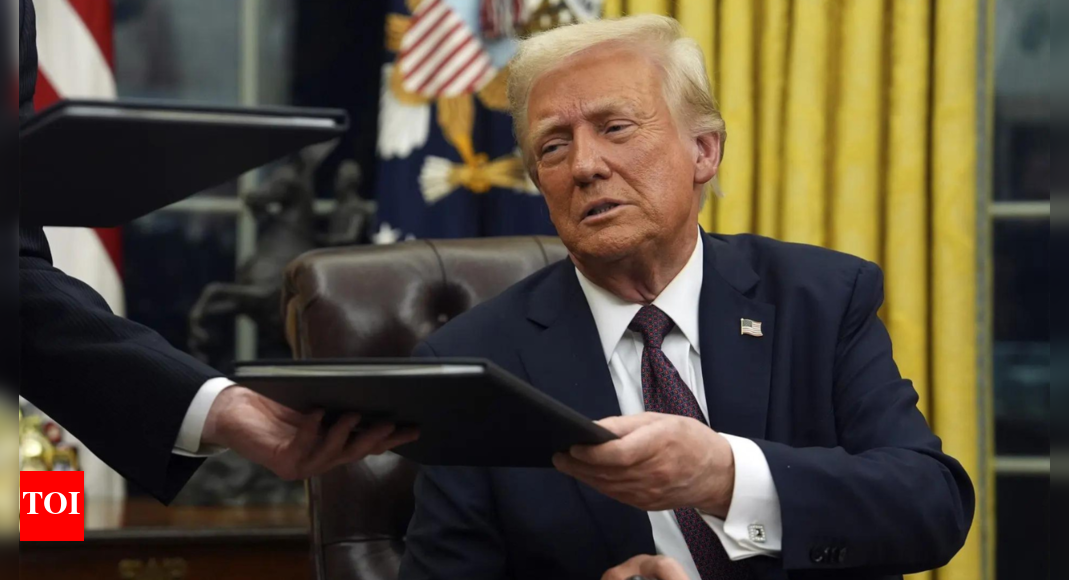 <div>'Obstacles to free trade': German envoy backs India on Trump tariffs; calls for slashing duties to minimum</div>