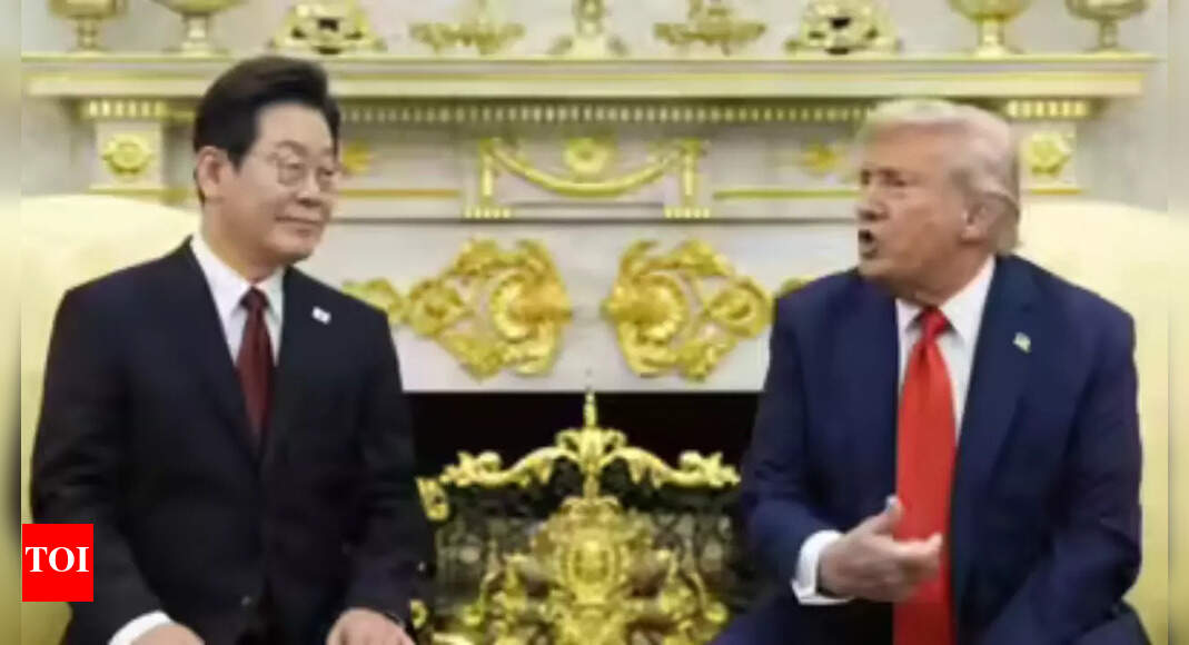<div>What are 'comfort women': Why did Donald Trump bring them up with the South Korean President at the White House</div>
