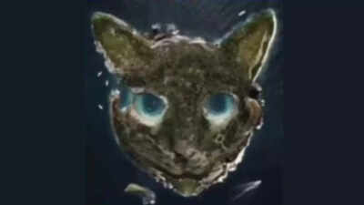  Cat or island? What you see first reveals if your inner strengths and weaknesses