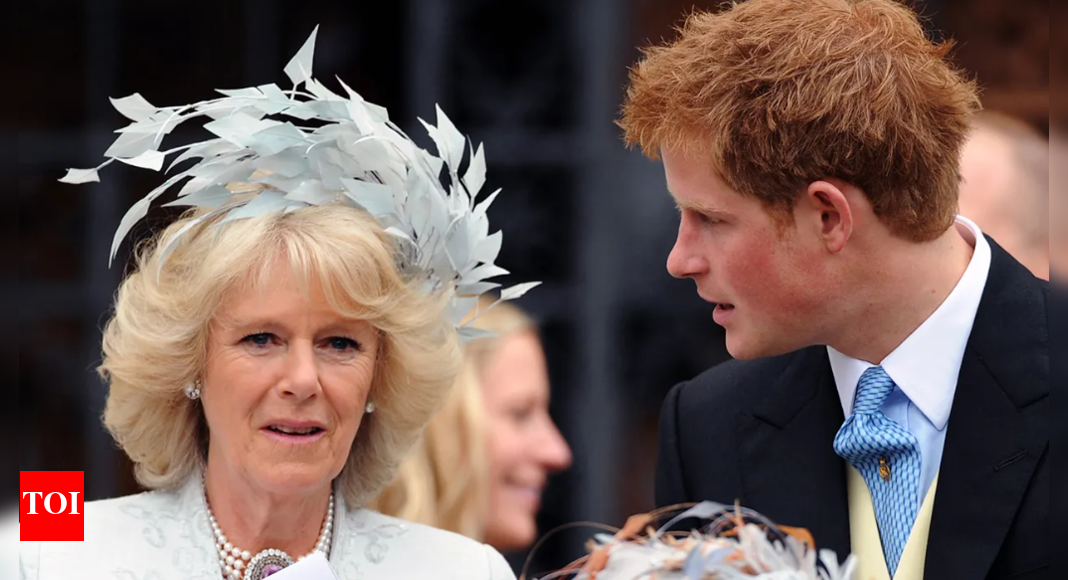 <div>'I don’t understand Harry’s anger': Butler challenges ‘evil stepmother’ story</div>