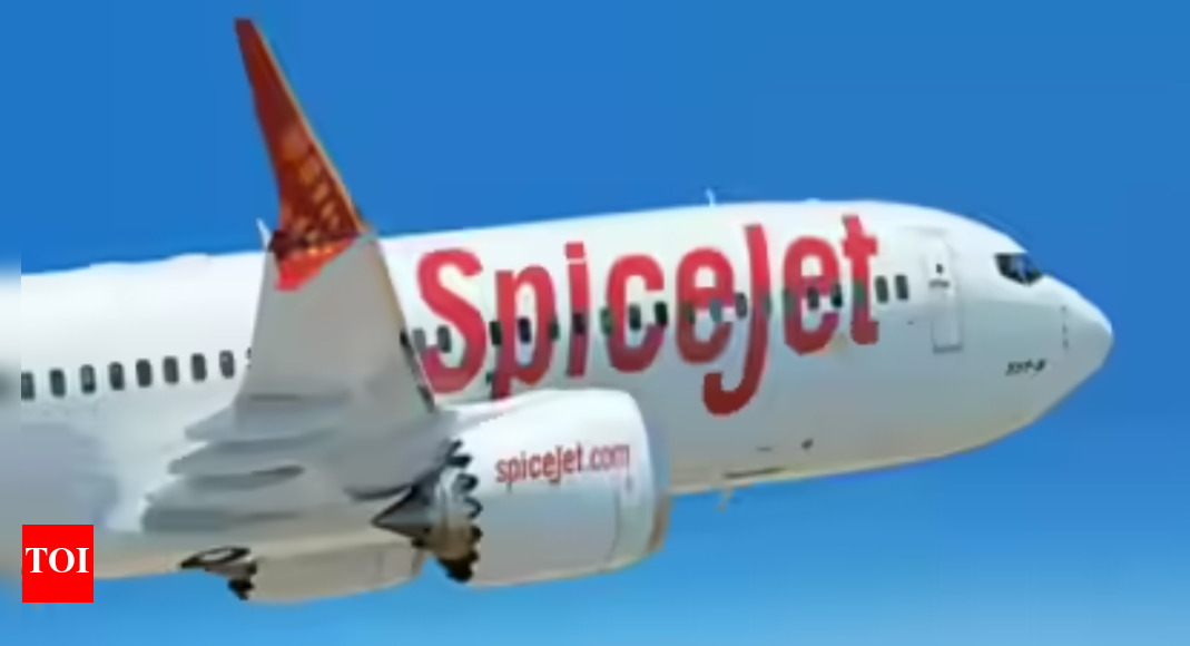 Army Official Banned From SpiceJet After Srinagar Airport Assault