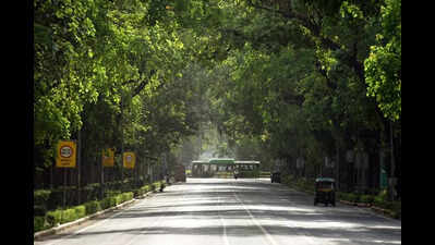 Govt allows removal of dangerous trees that pose immediate danger to life, infra or traffic