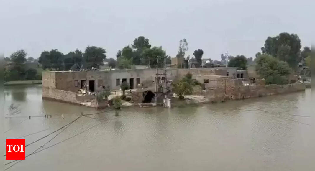 Barnala, Mansa go under, as Punjab gets 1643% excess rain | Chandigarh ...