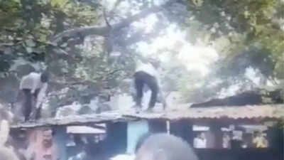 Monkey scatters cash in UP's Auraiya district's tehsil causing chaos