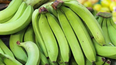  Why slightly green bananas are best