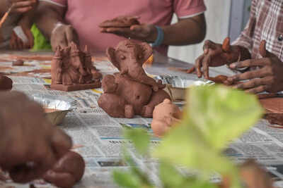 Punekars turn to Seed Ganeshas for a green Ganeshotsav